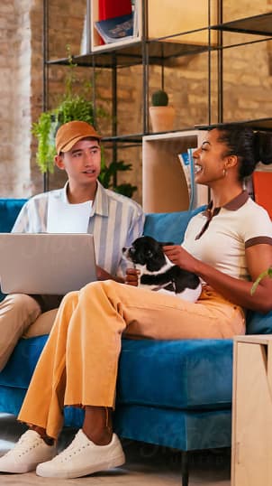 Business dashboard preview